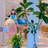 广州沙面最美花园式轻食餐厅“本我”