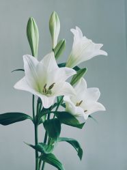 -Oasis Beauty水磨坊科技美肤中心