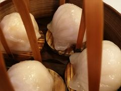-金鼎轩(亚运村店)