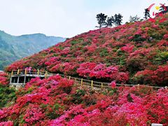-木兰云雾山