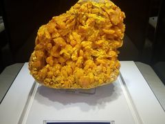 -中国地质大学逸夫博物馆