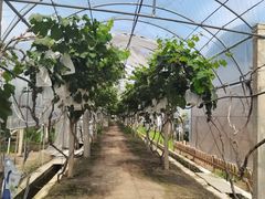 -美家乐农庄·露营·团建(大治路店)