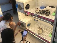 -lincat·猫舍(广州店)