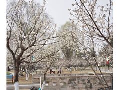 -国际非物质文化遗产博览园