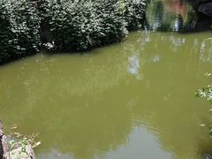 -荆川公园