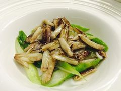 -新光酒家·河豚·海鲜·蟹料理(浦东店)