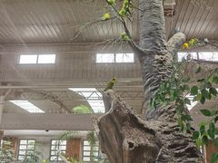 -南宫五洲植物乐园