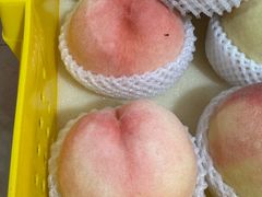 -老袁家蜜桃农场·阳山水蜜桃