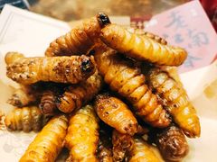 蚕虫-老江南春·中国龙菜(衡山路店)