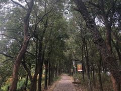 -雨花胜境