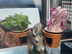 -慢丽江·云南野生菌土鸡锅(西山店)
