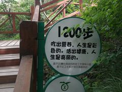 -大岭沟猕猴桃谷风景区