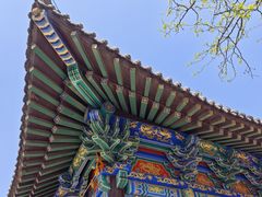 -护国法轮寺