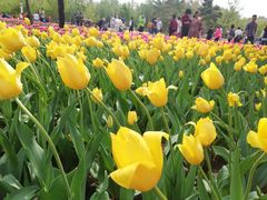 -长春公园(普阳街道)