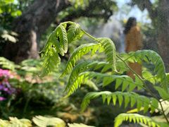 -Chom Cafe and Restaurant