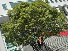 -云南省图书馆