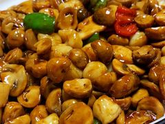 -梁溪河畔·吉府花园(南长街南下塘店)