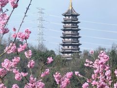 -重庆园博园