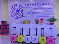 -蓝精灵创客少儿编程(百步亭中心)