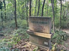 -紫金山山顶公园