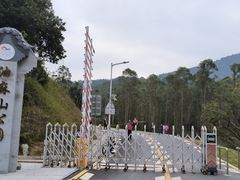 -黄埔油麻山森林公园