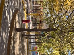 -朝阳公园游乐园