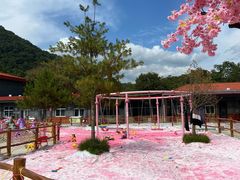 -青峰峡国家森林公园