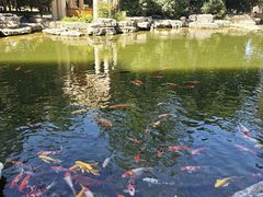 -青岛鑫江温德姆酒店