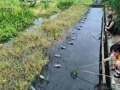 -同銮特种养殖场·龙虾垂钓