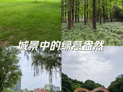 -新虹桥中心花园