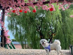 -沂蒙云瀑洞天景区