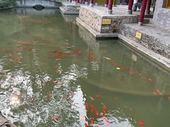 -华清宫景区