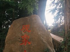 -观象山公园