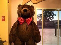 -济州岛泰迪熊博物馆