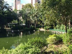 -九龙公园