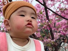 -雀儿山公园