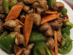 红烧肥肠-哈尔滨鑫馨饺子园(阳光花园店)