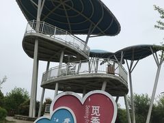 -铁山坪森林公园