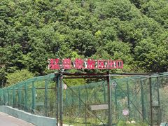 -栾川竹海野生动物园