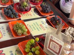 -马陆小张葡萄园农家乐