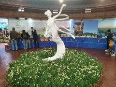 -东南花都花博园