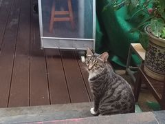 -臭鳜鱼人家·老字号徽菜