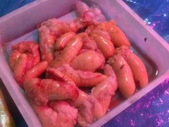 -鑫朱雀农贸批发市场