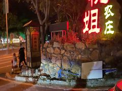 -桃姐农庄老字号(从化温泉店)