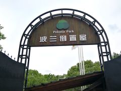 -金山农民画村-枫泾波兰倒置屋