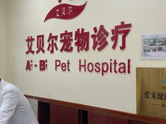 -艾贝尔宠物诊疗