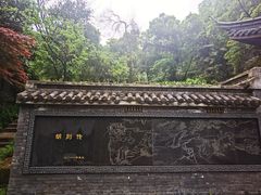 -十八棵（老龙井）御茶园(老龙井店)