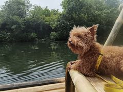-杭州双溪漂流景区
