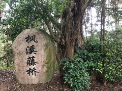 -深圳东部华侨城茵特拉根酒店