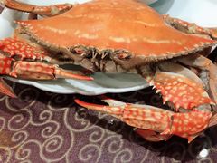 -北塘海鲜·天津菜(大光明桥旗舰店)
